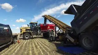 The Bio-Cycle Sustainability Story (full version)