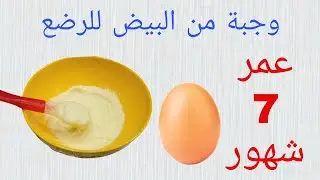 وجبة من البيض للرضع و الاطفال من عمر 7 شهور