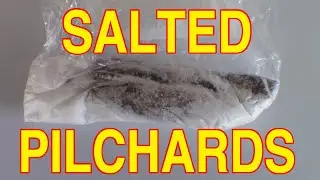 Salting Pilchards