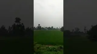 arai village(1)