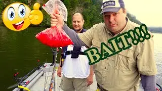 Strawberry Kool Aid Chicken Breast Catfish Bait
