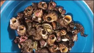 MASIPAG KA LANG PUMUNTA NG DAGAT WALANG PROBLEMA SA ULAM.