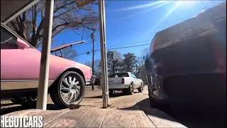 JUST PULLED ALL THE CHEVYS OUT ALL ON RIMS