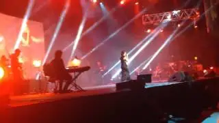 [Fancam] 140310 소향 Sohyang - 붉은 노을 Sunset glow (Luna Park, Argentina, 2014)