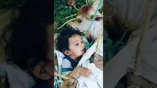 #baby #baccha #babyboy #masti #funny #babyboy #babystudy #ojas