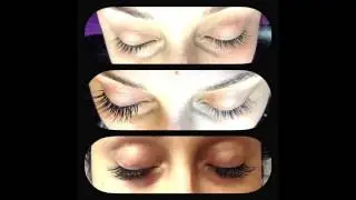 Foxy Lash Boutique | Eyelash Extensions