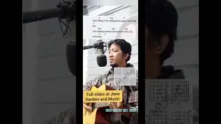 Short Jams #acousticguitarlessons #acousticjam #musictutorial #followers