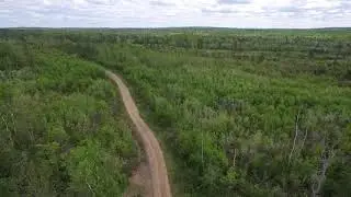 Aylesford Rd Fire Road area clearcuts