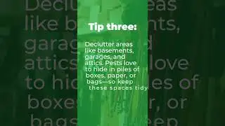 Winter Pest Prevention Tips