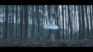Gold Member - X (Official Video)
