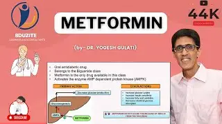 METFORMIN - Pharmacology
