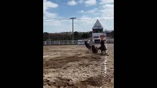 DHEOVANE ALMEIDA TESTANDO NOVA MONTARIA