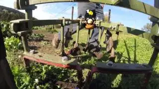 Planet Jr tractor with Hoss stirrup hoes and sweeps