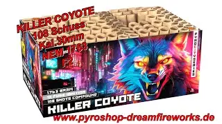 KILLER COYOTE - 04444 | CAT F2 | Dreamfireworks Pyroshop