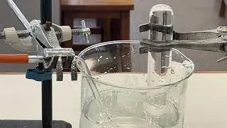 Comparing the reactivity of calcium and magnesium