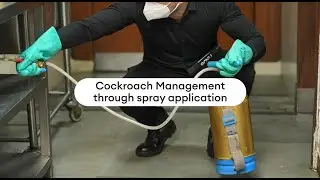 Cockroach management through spray application with Temprid SC - Hindi