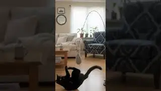 Float Like a Butterfly, Sting Like a Cat 🐈🎯 #CatHunting #CatJump #PlayTime #FunnyCat #HunterMode