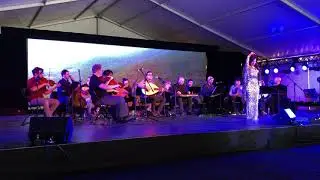 Boston College Middle Eastern Ensemble (April 2019)