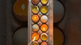Egg candles #shorts #craft #crafts #craftideas