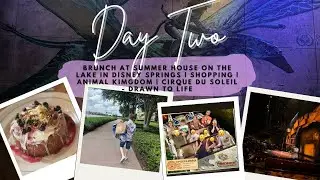 Видеоблог Florida Vlog, день 2 | Завтрак в Summer House on the Lake, шопинг, Animal Kingdom и Cir...