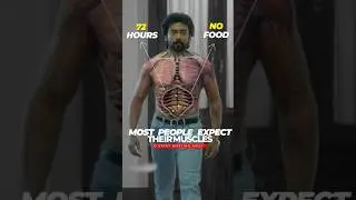 72 часа без еды: потеря мышечной массы или её сохранение? 72 часа без еды: будет ли потеря мышечн...