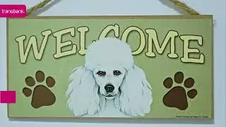 VetSurgery