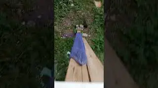 Курские дебилы из жко приехали в 6:30 утра собирать ветки,потом эти 🤕👈 поругались и уехали,разбудив.