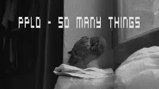 PPLo - So Many Things