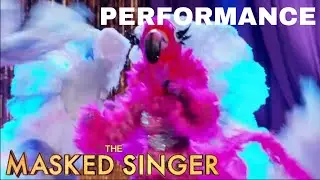 Flamingo sings &ldquo;Lady Marmalade&rdquo; by Patti LaBelle | The Masked Singer | Season 2