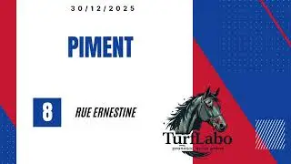 PRONOSTIC QUINT&Eacute; PRIX OUEST-FRANCE : 30/12/2025 #quint&eacute; #turf #pmu #horse #cheval #galop #deauville