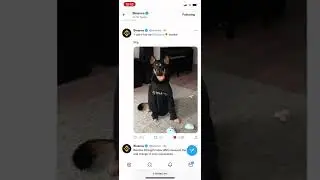 Listing BABYDOGE sur BINANCE imminent