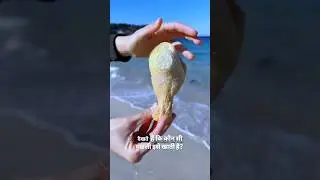 Ocean GPS Challenge 🍗🌊😱~mini woodworking art skill / wood / handcrafts /#viralshorts #shorts