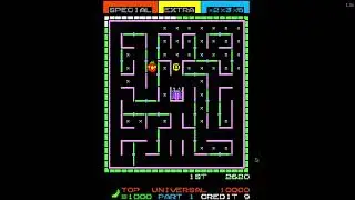 Lady Bug Arcade Emulator Gameplay (CC)