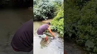 Fishing Mini Vlog 🐟