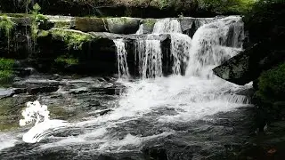 Best of Green Hill Music - The Bluegrass Collection [Visualizer]