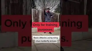Basic attacks using wing chun butterfly knives.