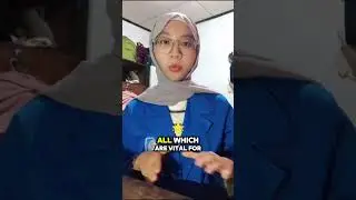 English task | 