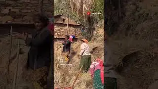 my village latugair