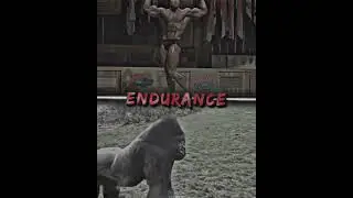 100 Men vs 1 Gorilla #shorts