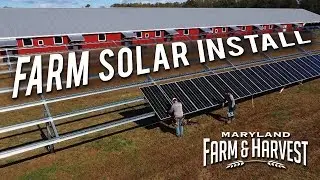 Installing Solar on a Poultry Farm | Maryland Farm & Harvest