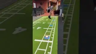 BlazePod Training for All