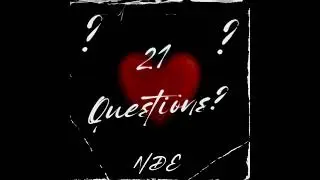 21 Questions - NDE