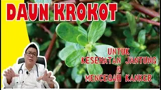 DAUN KROKOT, TANAMAN LIAR UNTUK MENJAGA KESEHATAN JANTUNG DAN MENCEGAH KANKER