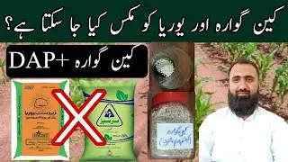 Can we mix Urea and CAN Fertilizer || Fertilizer Compatibility Test || Bilal Kanju Official
