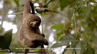 Delfin I Amazon River Cruise - Happy Gringo Travel