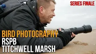 BIRD PHOTOGRAPHY at RSPB Titchwell Marsh with the Panasonic Lumix G9 and 100-400 telephoto lens