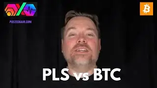 @RichardHeart talks #BTC vs #PLS