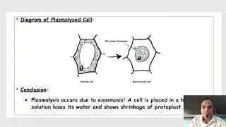 Q.1 Major Experiment model answer (HSC Board Practical) Biology 