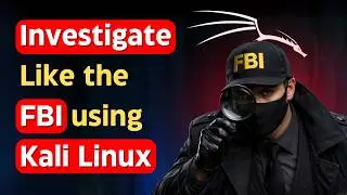 How to Investigate like a Detective using Maltego in Kali Linux