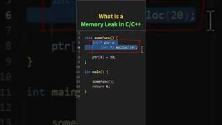 What is Memory Leak in C/C++?